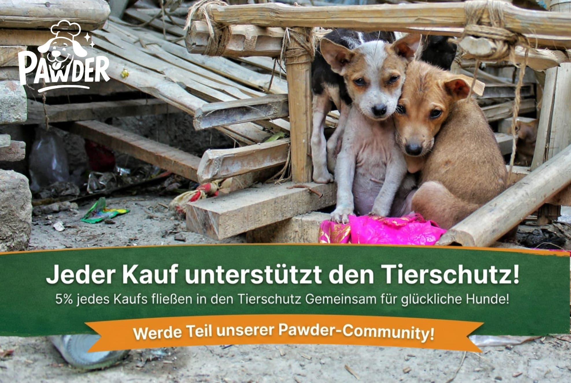 Tiere im Tierheim