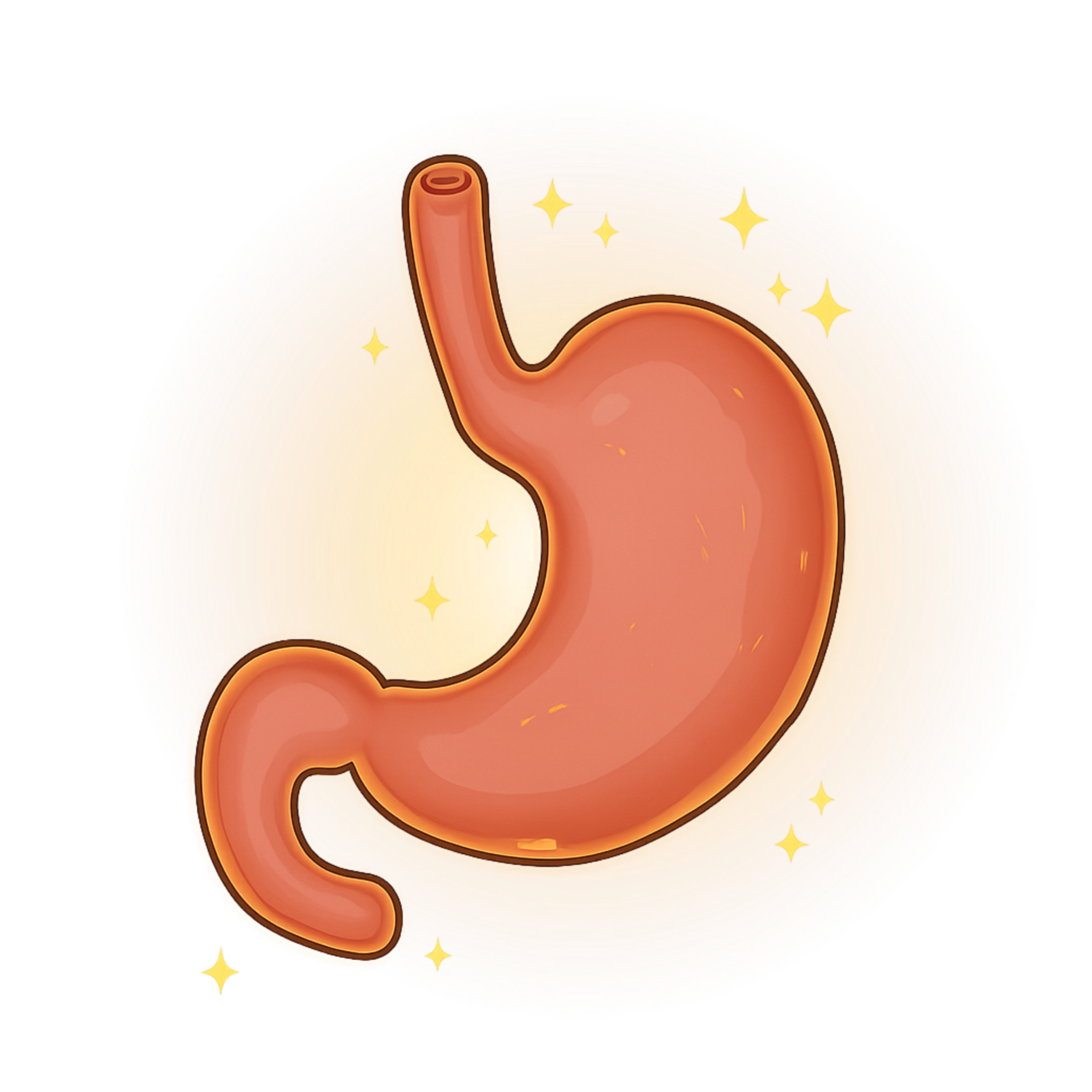 Ruhiger Bauch, entspannter Hund